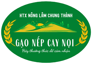 HỢP TÁC XÃ NÔNG LÂM CHUNG THANH